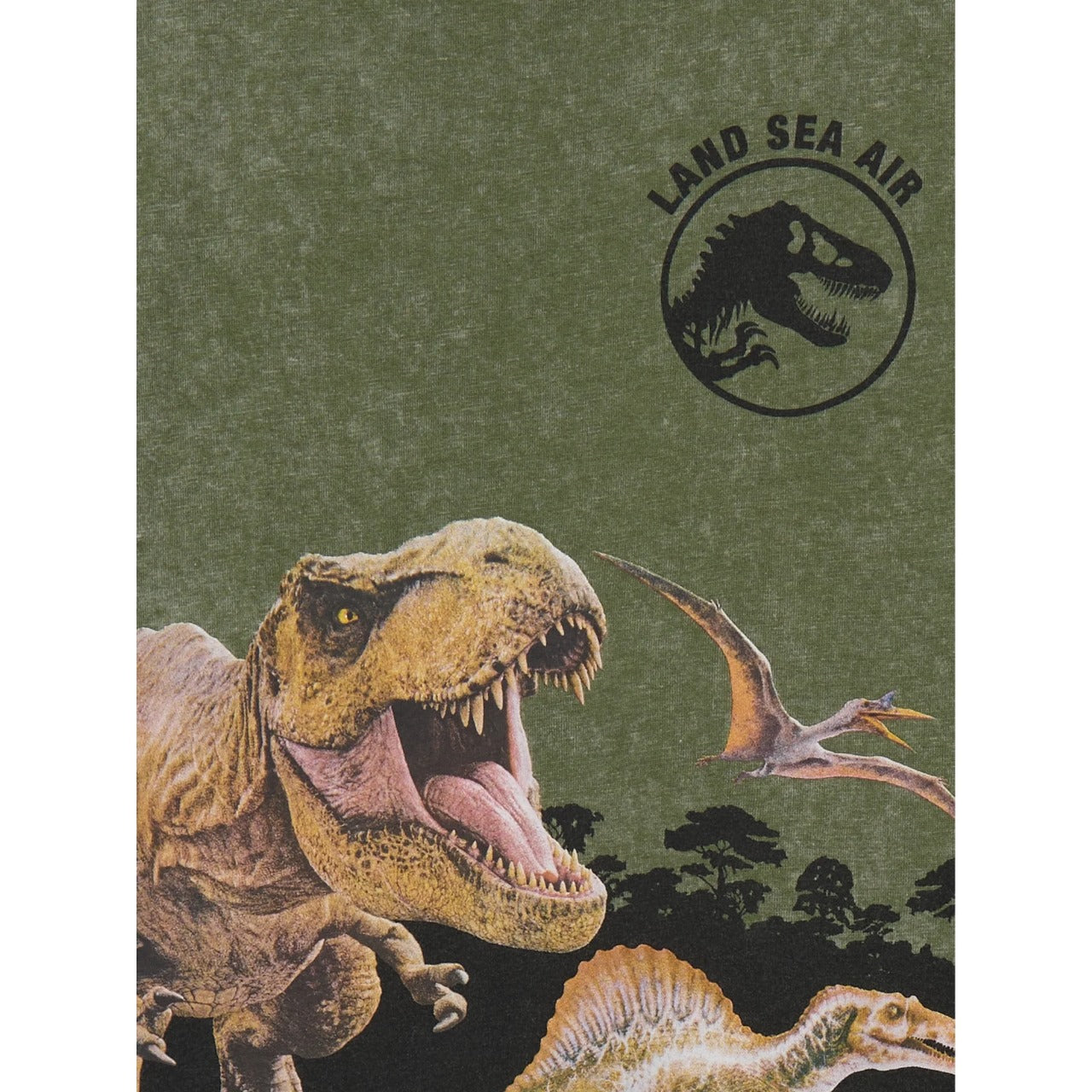 Set 2 Piezas Dinosaurio Niño