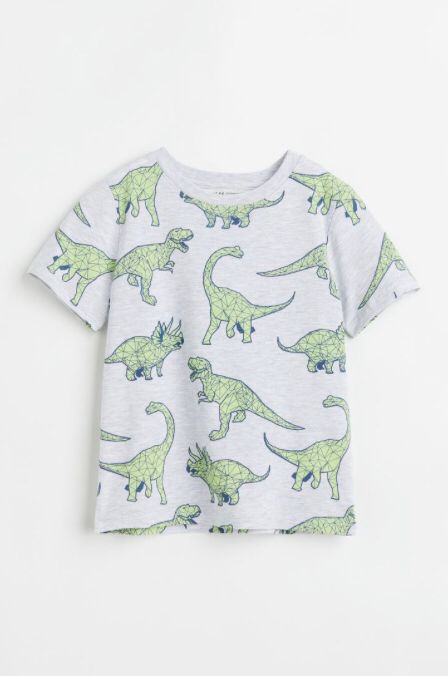 Camisa Dinosaurio