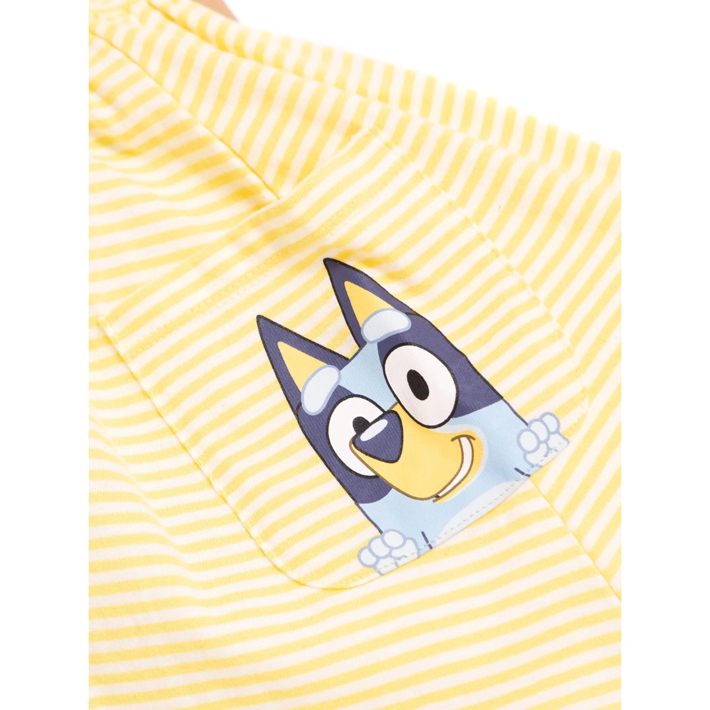Vestido Bluey Rayado